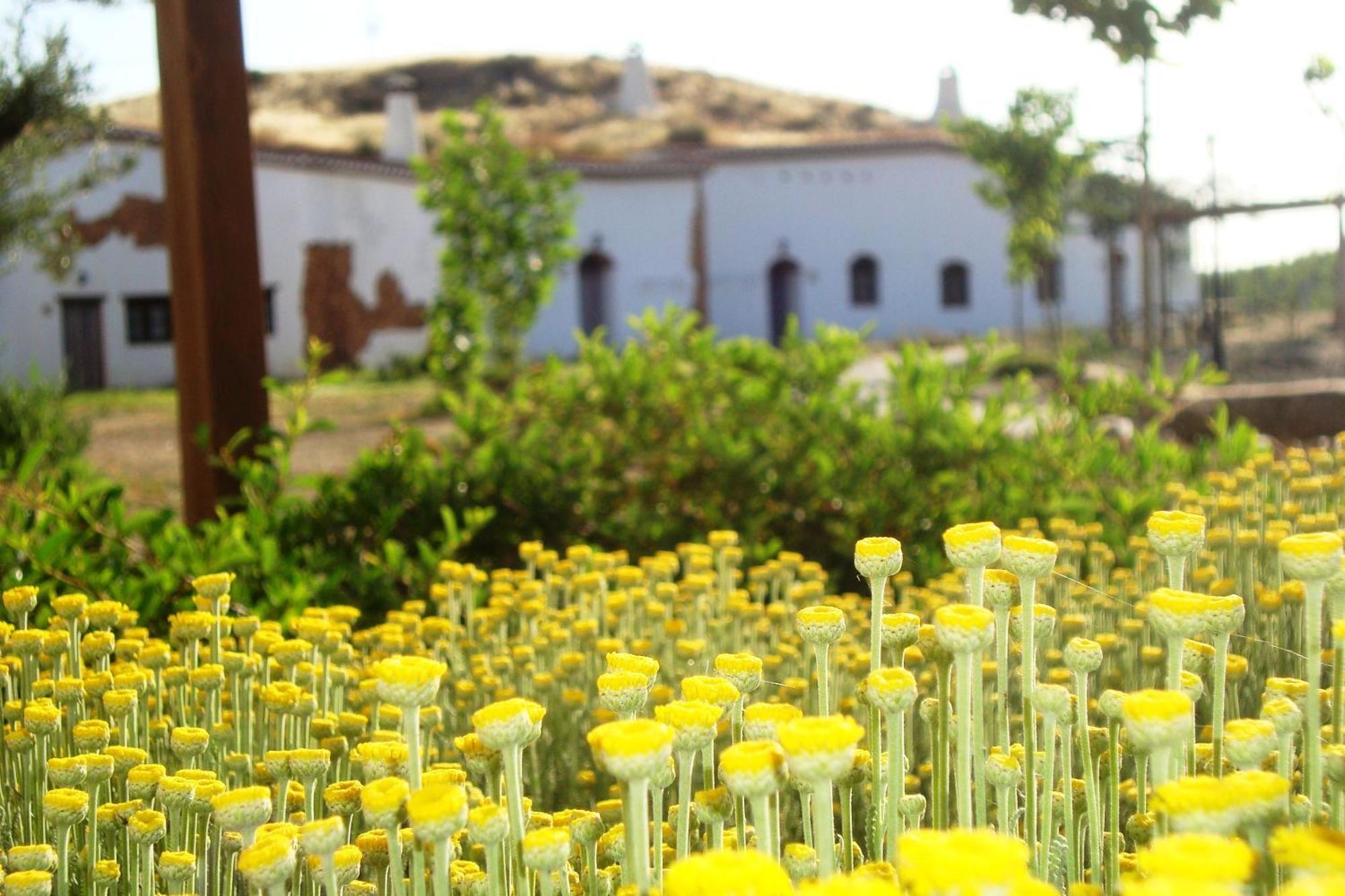Cuevas Hammam Abuelo Jose Purullena Exterior foto
